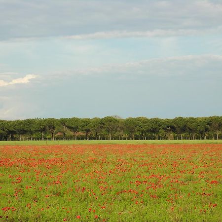 Appartamenti Mirella Bibione Exteriör bild