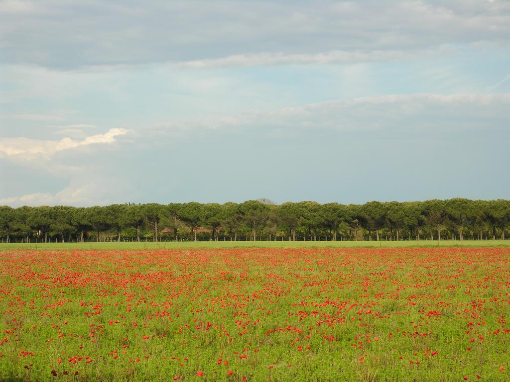 Appartamenti Mirella Bibione Exteriör bild